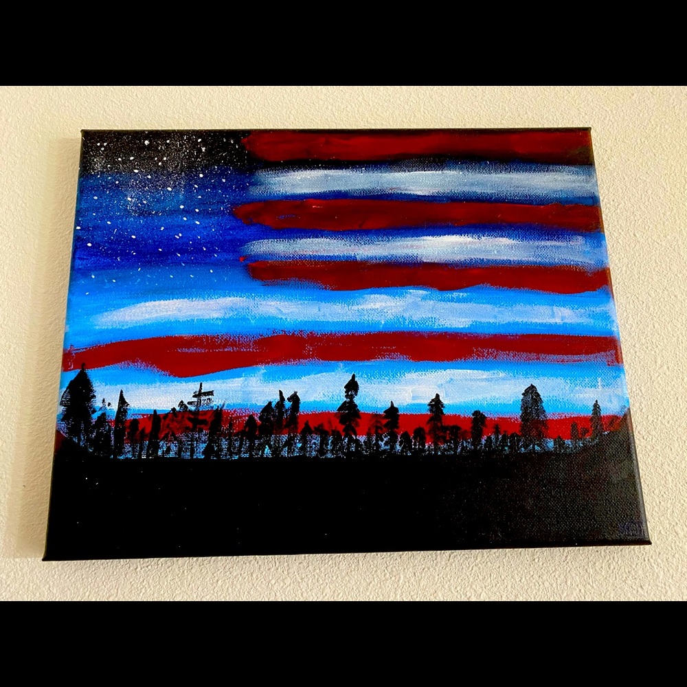 Patriotic Night Sky Painting